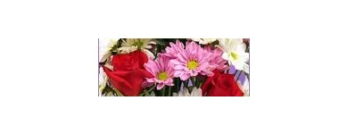 Business 1 image ONLINE FLORIST SYDNEY Sympathy in Sydney NSW