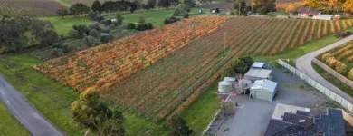 Business 2 image ORGANIC HILL WINES Vegan Wine in McLaren Vale SA