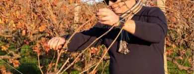 Business 3 image ORGANIC HILL WINES Vegan Wine in McLaren Vale SA