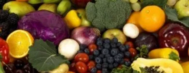 Business 4 image ORGANIC ORIGINS Organic Vegetable Delivery in Warrandyte South VIC