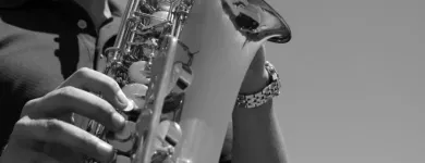 Business 2 image ORGET SADIKU ENTERTAINMENT Wedding Bands in Sydney NSW