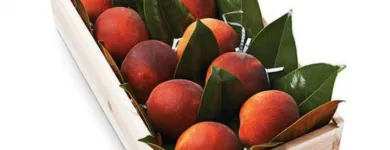 Business 9 image PARISI BARANGAROO Smoothies in Sydney NSW