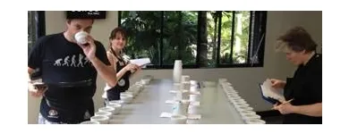 Business 2 image PATTRONIZE INFOTECH Windows App Development in Sydney NSW