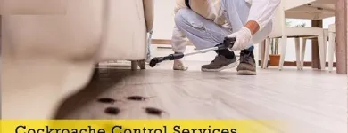 Business 3 image PEST CONTROL BALMAIN Pest Control in Balmain NSW