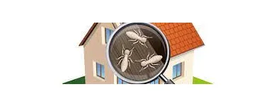 Business 7 image PEST CONTROL BALMAIN Pest Control in Balmain NSW