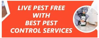Business 2 image PEST CONTROL BRISBANE Pest Control in Brisbane QLD