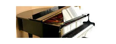 Business 3 image PIANO REMOVALS PERTH Home Improvements in Perth WA