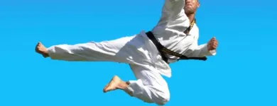 Business 1 image PINNACLE MARTIAL ARTS ACADEMY Taekwondo near me in Earlwood NSW