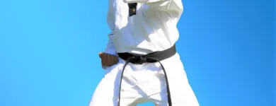 Business 4 image PINNACLE MARTIAL ARTS ACADEMY Taekwondo near me in Earlwood NSW