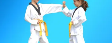 Business 14 image PINNACLE MARTIAL ARTS ACADEMY Taekwondo near me in Earlwood NSW