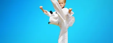 Business 15 image PINNACLE MARTIAL ARTS ACADEMY Taekwondo near me in Earlwood NSW