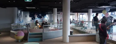 Business 4 image PLANET MINO Playgroups in Chatswood NSW