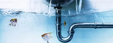 Business 2 image PLUMBING ST CLAIR Plumbers & Gas Fitters in St Clair NSW