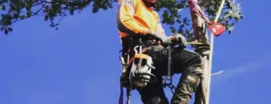 Business 1 image RANGEVIEW TREE SERVICES Tree & Stump Removal Services in Ringwood VIC