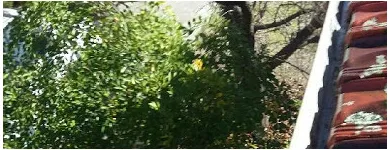 Business 4 image RELIANCE ALL TRADE Gutter Cleaning in Perth WA