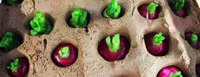 Business 5 image RISING SUN WORKSHOP Restaurant in Newtown NSW