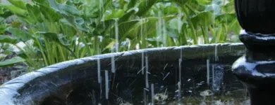 Business 1 image ROMANY LAMBERT Landscaping & Landscape Design in Melbourne VIC