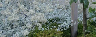 Business 3 image ROMANY LAMBERT Landscaping & Landscape Design in Melbourne VIC