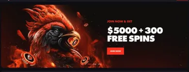 Business 3 image ROOSTER BET Casinos in Sydney NSW