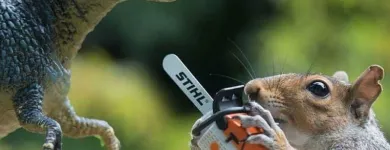 Business 2 image ROSEBUD SAW SERVICE Walker Mowers in Rosebud VIC