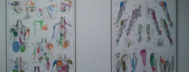 Business 3 image SA REMEDIAL THERAPY CLINIC Trigger Point Therapy in Adelaide SA