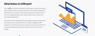 Business 3 image SAFARI DIGITAL SEO AGENCY Sydney SEO in Sydney NSW