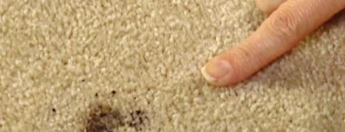 Business 4 image SAMS CLEANING SYDNEY - CARPET REPAIR SYDNEY Carpet Repair in Sydney NSW