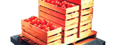 Business 3 image SCALES FOR WEIGHING - A&D WEIGHING Scales & Weighing Equipment in Adelaide SA