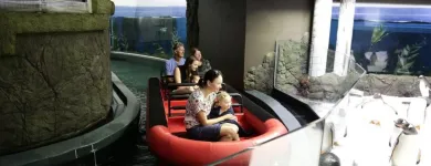 Business 3 image SEA LIFE SYDNEY AQUARIUM what's on Sydney in Sydney NSW