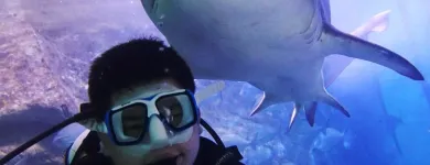 Business 4 image SEA LIFE SYDNEY AQUARIUM what's on Sydney in Sydney NSW
