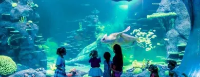 Business 10 image SEA LIFE SYDNEY AQUARIUM what's on Sydney in Sydney NSW