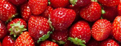 Business 1 image SIMPLY FRESH FRUIT Fruit Shops & Greengrocers in Melbourne VIC