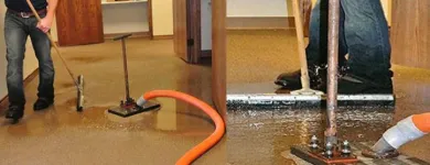 Business 1 image SQUEAKY CLEAN CARPET - WATER DAMAGE RESTORATION MELBOURNE Carpets & Rugs--Oriental & Handmade in Melbourne VIC