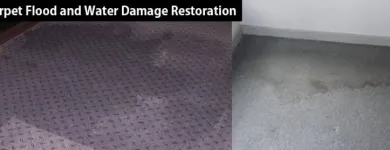 Business 3 image SQUEAKY CLEAN CARPET - WATER DAMAGE RESTORATION MELBOURNE Carpets & Rugs--Oriental & Handmade in Melbourne VIC