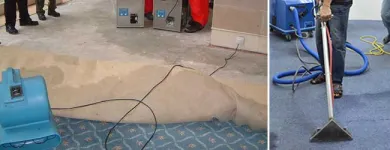Business 5 image SQUEAKY CLEAN CARPET - WATER DAMAGE RESTORATION MELBOURNE Carpets & Rugs--Oriental & Handmade in Melbourne VIC