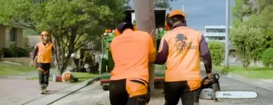 Business 3 image STANDFAST TREE SERVICES Lawn Mowing Services in Newport NSW