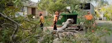Business 4 image STANDFAST TREE SERVICES Lawn Mowing Services in Newport NSW