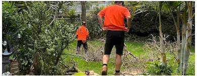 Business 5 image STANDFAST TREE SERVICES Lawn Mowing Services in Newport NSW