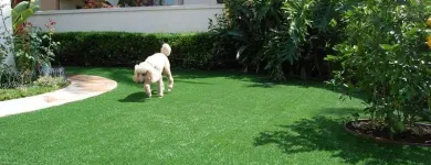 Business 3 image SUPERIOR ARTIFICIAL TURF SUPPLIES Turf & Lawn Suppliers in Applecross WA