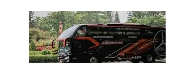 Business 24 image SYDNEY BUSES AUSTRALIA PTY LTD Bus & Coach Charter & Tours in Sydney NSW
