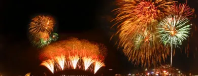 Business 4 image SYDNEY NYE FIREWORK CRUISES Tours in Sydney NSW