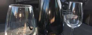 Business 5 image TASTES OF THE HUNTER WINE TOURS Winery Tours in Sydney NSW