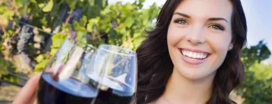Business 12 image TASTES OF THE HUNTER WINE TOURS Winery Tours in Sydney NSW