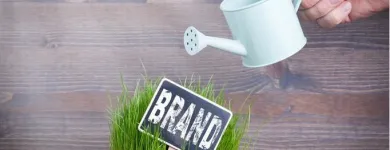 Business 3 image THE MARKETING STRATEGY CO Writing Services in Sydney NSW