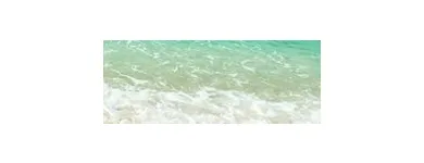 Business 4 image THE MONDAY GROUP - HOSPITALITY & EVENT RECRUITMENT Employment & Recruitment Agencies in Surry Hills NSW