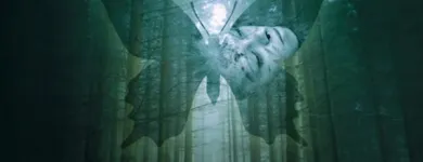 Business 6 image THE SOLID STATE Trailers in Milton QLD