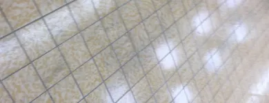 Business 4 image TILE AND GROUT CLEANING BRISBANE Home Cleaning in Brisbane QLD