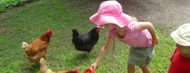 Business 1 image TORAL LODGE CHILD CARE CENTRE Learning Center in Buderim QLD