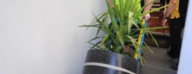 Business 36 image TRANSCORP REMOVALS & STORAGE Storage Facility in Sandringham VIC