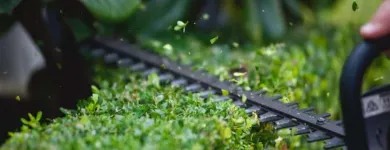 Business 1 image WESTERN PROPERTY CARE Landscaping & Landscape Design in Perth WA